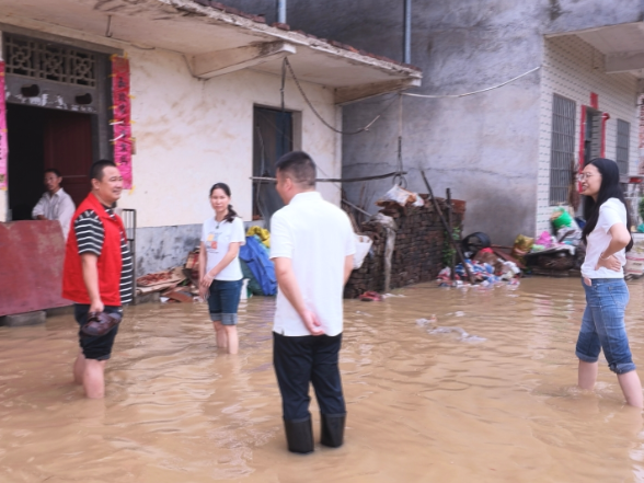 【视频】迎战台风“沙德尔”丨曲潭街道：未雨绸缪抢先手 干群同心护家园