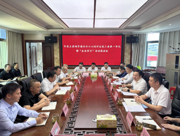 【视频】罗卫华兼任水口山经开区党工委第一书记并开展“企业家日”活动