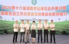 常宁塔山茶闪耀湖南茶博会 5款产品获评“茶祖神农杯”五星茶产品