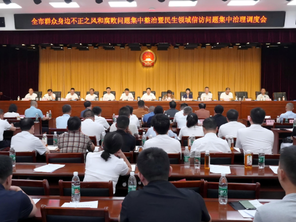 全市群腐集中整治暨民生领域信访问题集中治理调度会召开