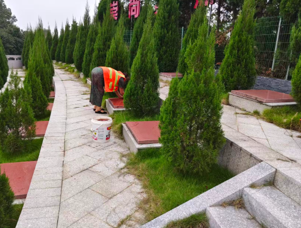 节前保洁焕新烈士陵园环境 环卫人以劳动致敬革命先烈