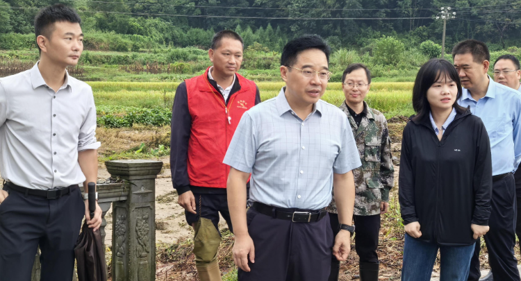 【视频】罗卫华、邓艳红调研防汛工作
