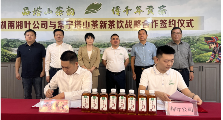 【视频】常宁塔山茶抢跑“定制化”新赛道 两大企业签约共推茶饮转型升级