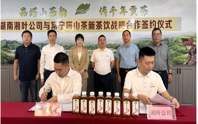 【视频】常宁塔山茶抢跑“定制化”新赛道 两大企业签约共推茶饮转型升级