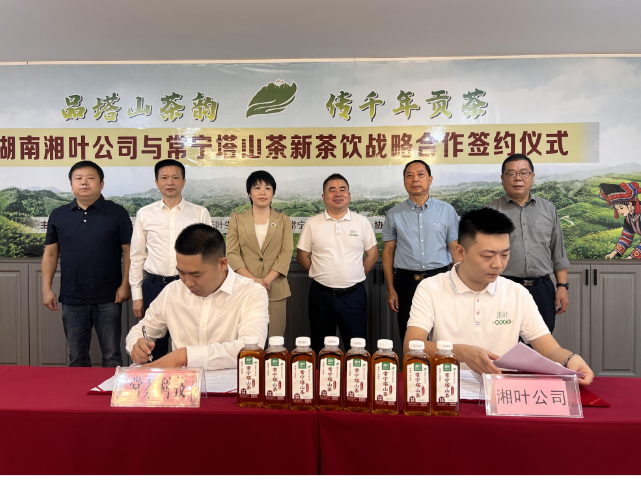 【视频】常宁塔山茶抢跑“定制化”新赛道 两大企业签约共推茶饮转型升级