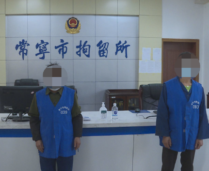 常宁8名盗窃油茶籽行为人被依法行政拘留