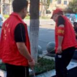 创建省级文明城市丨市委政法委开展志愿服务活动