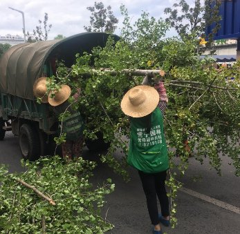 创建省级文明城市丨园林工人修剪树枝 消除安全隐患