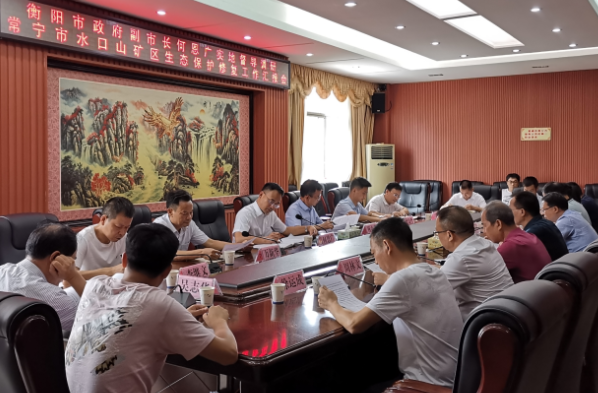 何恩广来常调研水口山铅锌煤矿区山水林田湖草生态保护修复工程试点项目