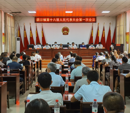 常宁荫田镇全面完成新一届乡镇人大、政府换届选举工作