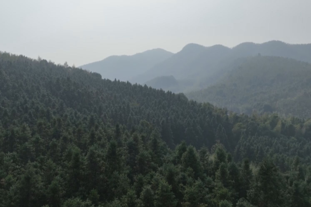 【视频】常宁：湖光山色 层林尽染