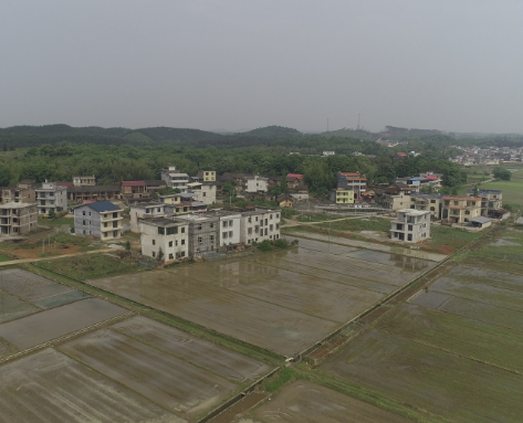 【视频】常宁2022年建设高标准农田7.5万亩