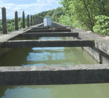 【视频】梅埠桥水库：引水保水 灌溉无忧