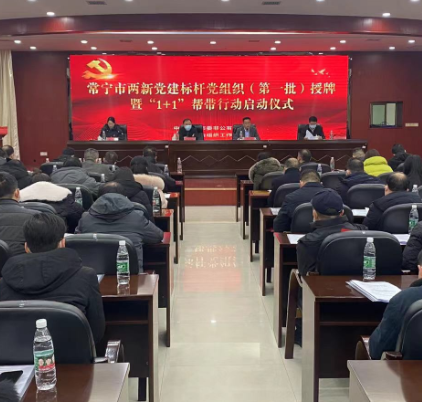 【视频】常宁：10个两新党建标杆党组织获授牌
