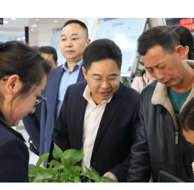 【视频】罗卫华:打造“四最”常宁政务服务平台 建设一流营商环境