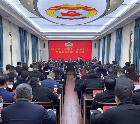【视频】两会进行时丨政协常宁市第十一届常委会召开第九次会议