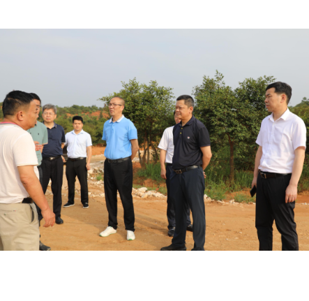 【视频】广东省惠州市政协来常调研油茶产业