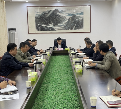 【视频】湘南纺织产业基地项目建设调度会召开 段鸣主持