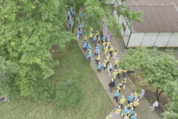 【视频】常宁市老年人健步走竞赛 走出健康与幸福生活