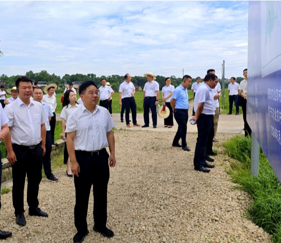 【视频】比学赶超 常宁“组团”观摩乡镇（街道）工作 罗卫华出席