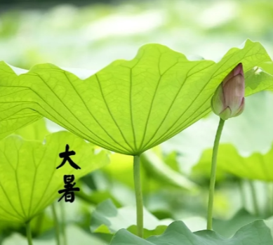 【视频】大暑遇盛事 湖南（夏季）村晚邀您来常宁玩一“夏”