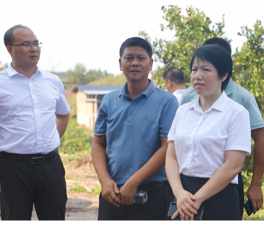 【视频】常宁市人大专项督办民生项目 交通、医疗、教育等多领域取得实质进展