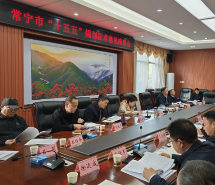 常宁市“十五五”规划征求意见座谈会召开