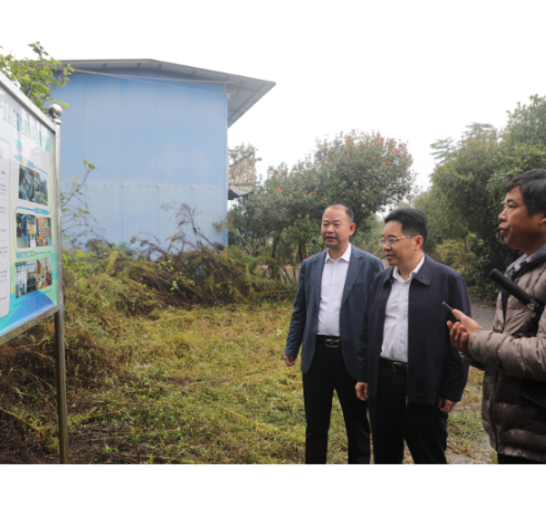 【视频】罗卫华到西岭镇调研基层党建、乡村振兴及“打非治违”等工作