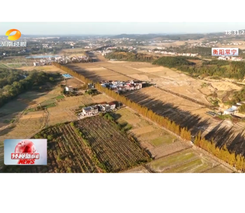 湖南经视《杉红枫黄何须秋 湖南冬日也“出片”》报道常宁