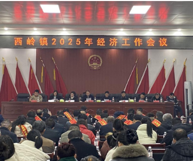西岭镇召开2025年经济工作会议