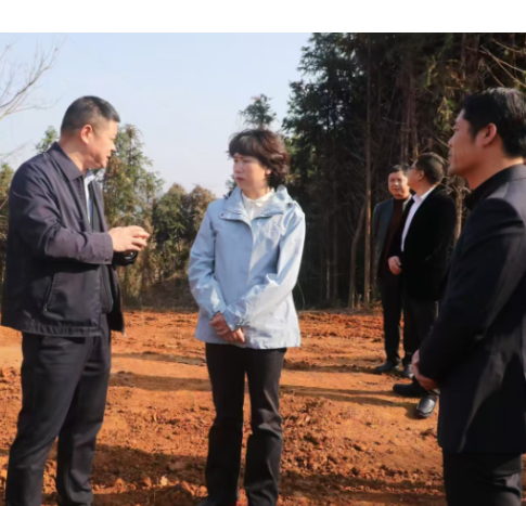 邓艳红调度重点项目建设工作