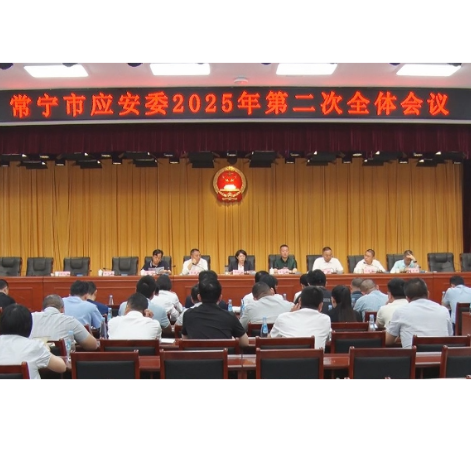 常宁市应安委2025年第二次全体会议召开 邓艳红参加