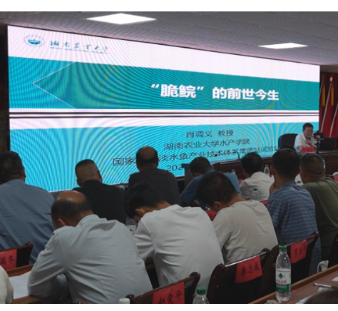【视频】衡阳“田间课堂”走进常宁 脆鲩鱼“游”出致富路