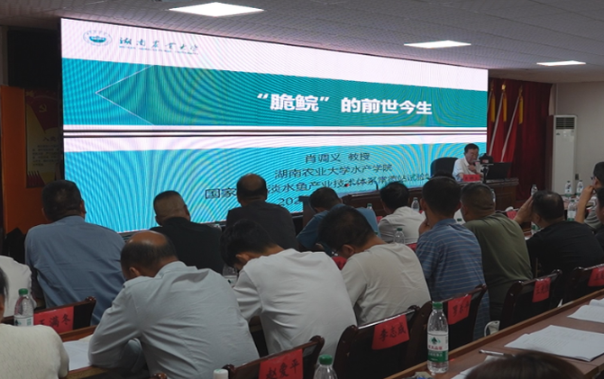 衡阳“田间课堂”走进常宁 脆鲩鱼“游”出致富路