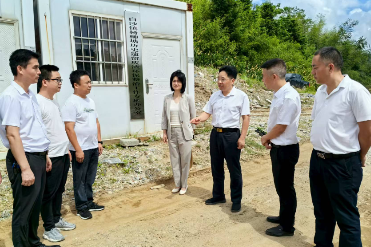 【视频】罗卫华到白沙镇调研生态环保、乡村振兴等工作
