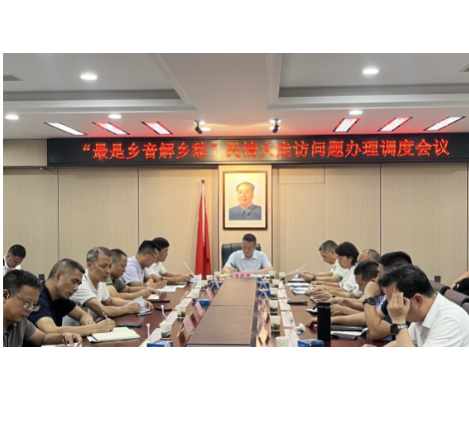 【视频】“最是乡音解乡愁”民情大走访强力攻坚 954件群众诉求提速办结