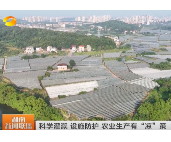 《湖南新闻联播》报道常宁