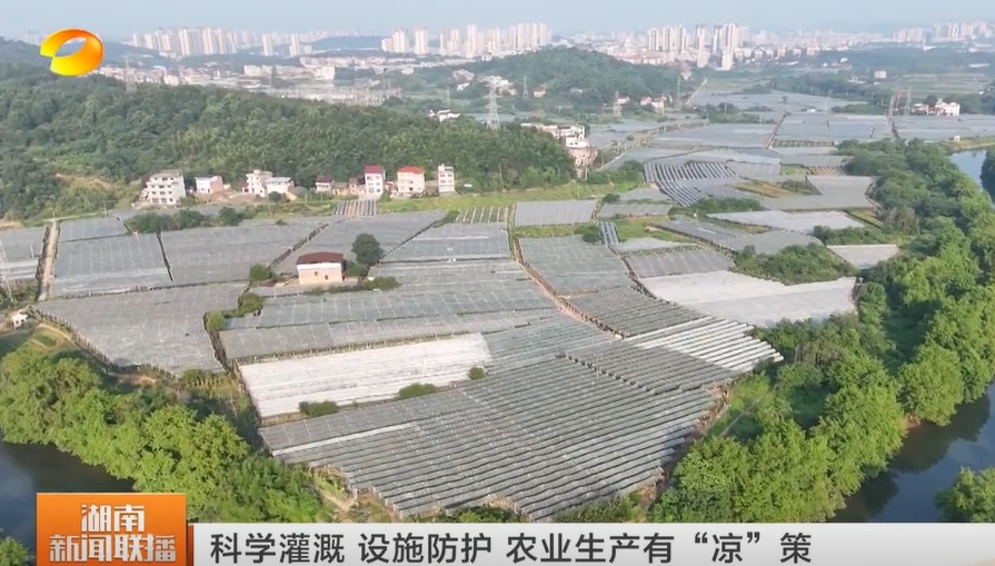 葡萄上稿.png