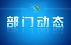 水口山镇：全力推进经营环境综合整治
