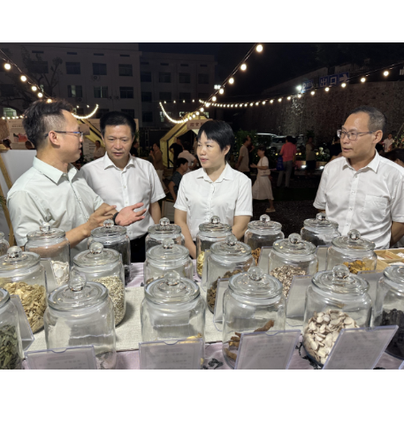 【视频】市人大常委会调研中医夜市运营情况 王一花参加