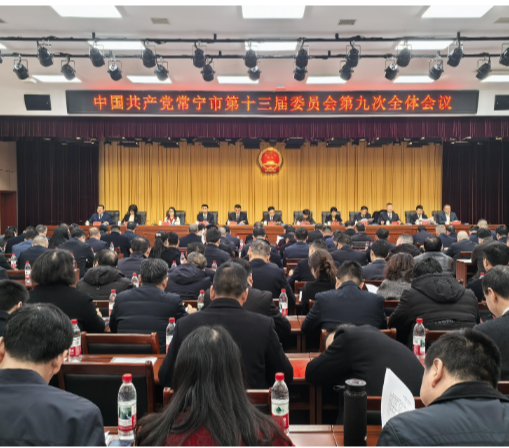 【视频】中共常宁市委十三届九次全体会议召开