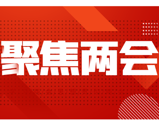 一图读懂•政协工作报告