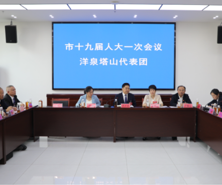 罗卫华参加洋泉塔山代表团审议