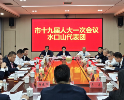 邓艳红参加水口山代表团审议