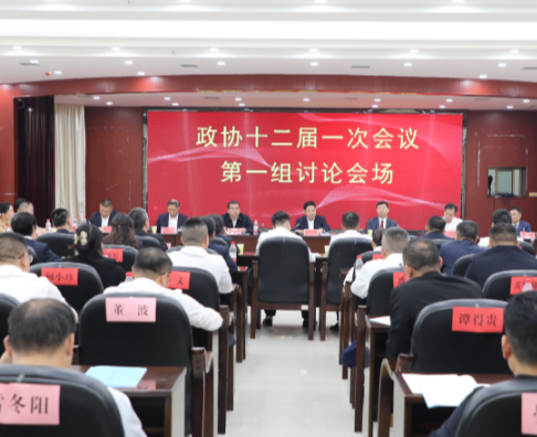 罗卫华参加市政协十二届一次会议第一组讨论