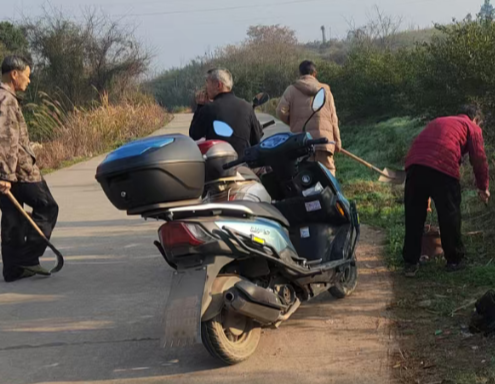 板桥镇先峰村:主题党日“大扫除” 喜迎返乡群众归