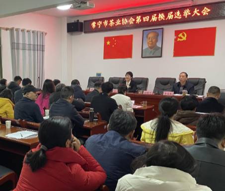 【视频】市茶业协会顺利完成换届选举