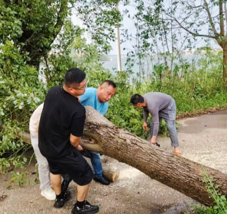 水口山镇:高效处置大风天气安全隐患 筑牢防线护民安