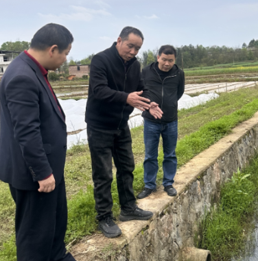 最是乡音解乡愁(304)柏坊镇:乡音暖荆林 走访解民忧