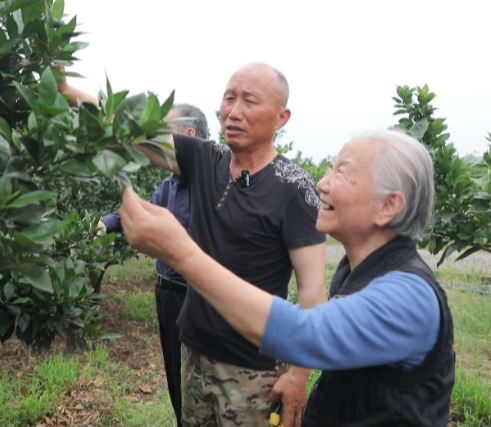 【视频】常宁市老科协:以“银智”赋能发展活力 用“银龄”托起敬老温情
